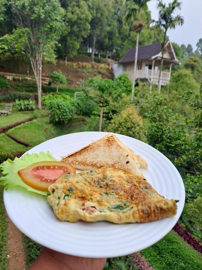 Bed and Breakfast Garden Terrace Bali Gobleg  Exterior foto