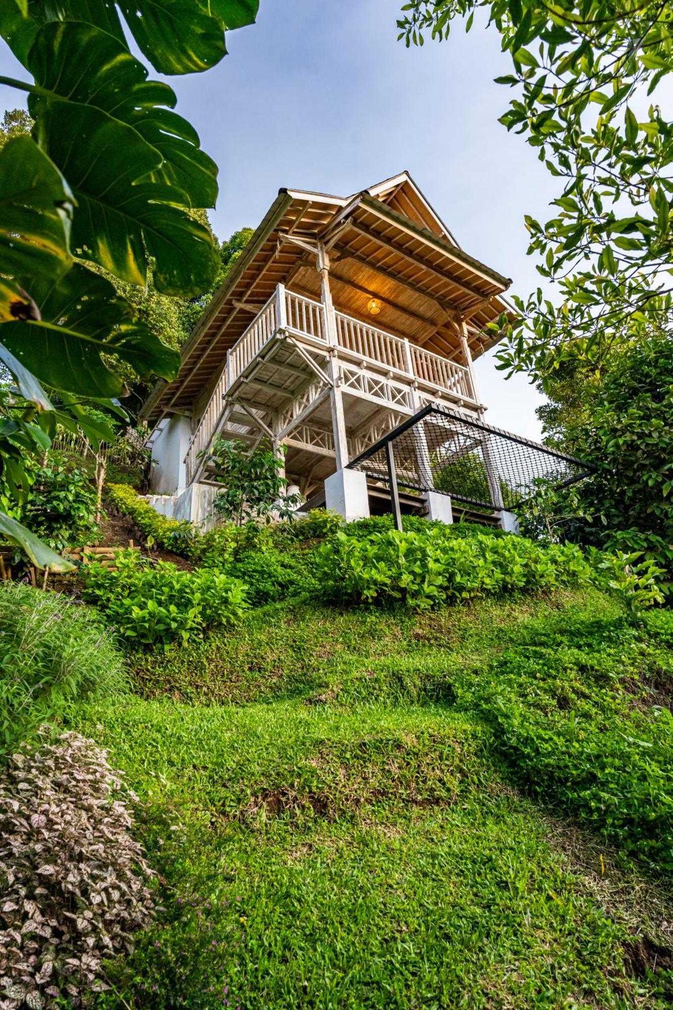 Bed and Breakfast Garden Terrace Bali Gobleg  Exterior foto
