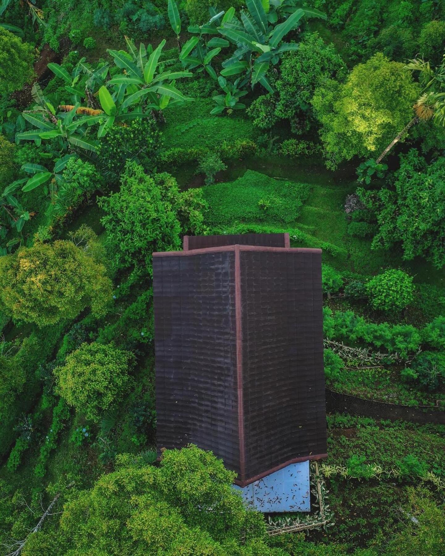 Bed and Breakfast Garden Terrace Bali Gobleg  Exterior foto